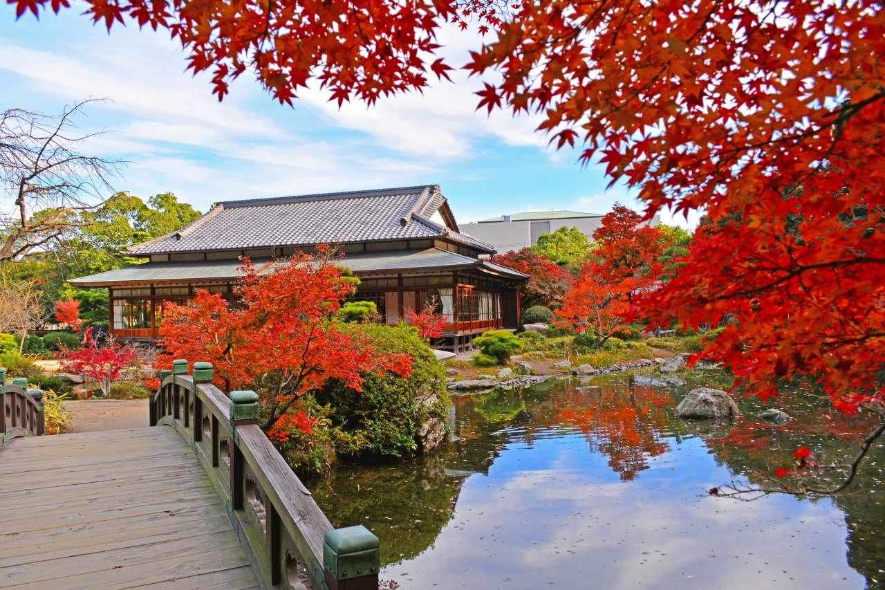 🌳 쵸후 정원 이미지 1